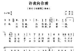 许我向你看（影片《长相思》插曲） 通俗唱法曲谱