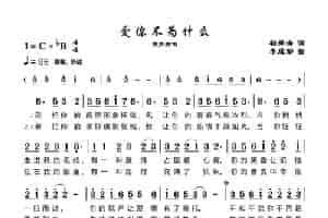 爱你不为什么 歌谱简谱