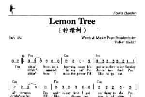 Lemon Tree（柠檬树） 外国歌曲谱
