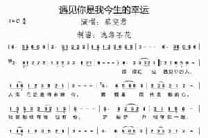 遇见你是我今生的幸运 歌谱