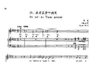 [德]25我曾在梦中痛哭（正谱） 外国歌曲谱