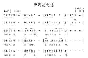 紫荆花之恋 通俗唱法曲谱