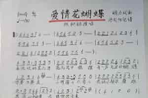 爱情花蝴蝶 歌谱简谱