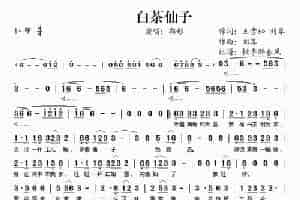 白茶仙子 歌谱简谱