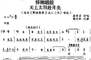 [怀梆]天上太阳赶月亮（选自《同根异果》夫人[旦]唱段） 戏曲唱谱