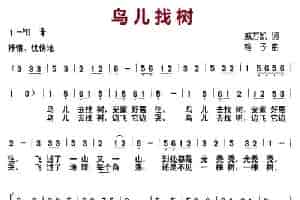 鸟儿找树（合唱） 少儿歌曲谱