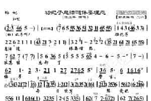 梅妃·劝妃子息泪涟休要埋怨（京胡伴奏谱） 歌谱