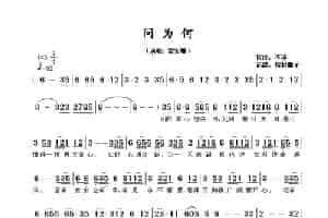 问为何 歌谱简谱
