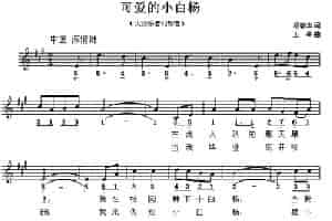 可爱的小白杨（线简谱混排版） 少儿歌曲谱