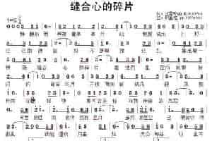 缝合心的碎片（王雪玲词/郑惠铭曲） 通俗唱法曲谱