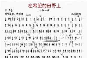 在希望的田野上（大阮分谱） 歌谱