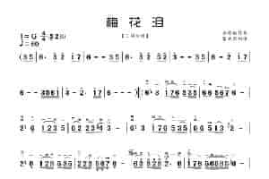 梅花泪（二胡曲谱） 歌谱