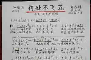 何处不飞花 歌谱简谱