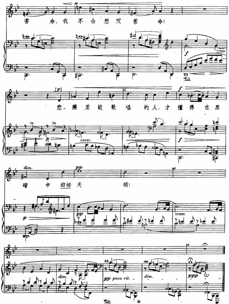 茨冈歌曲集：森林四周多么宁静（正谱） 外国歌曲谱_第3张