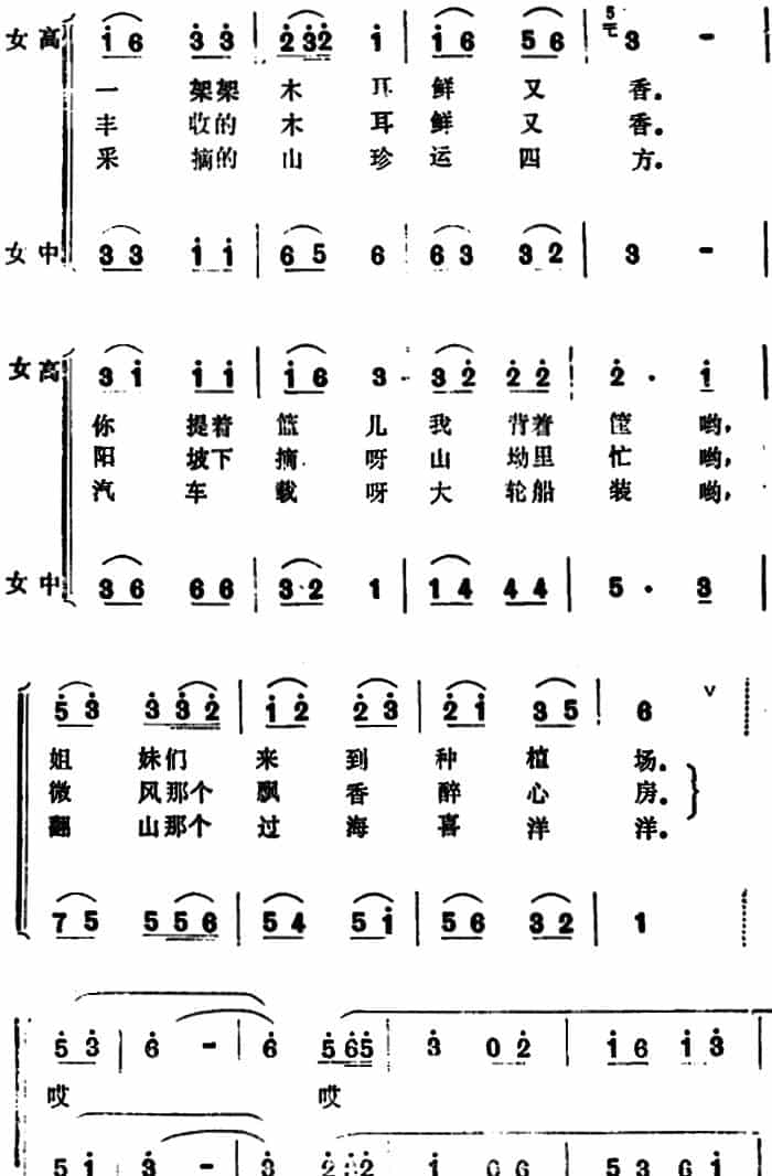 丰收的木耳鲜又香 （女声小合唱） 合唱歌曲谱_第2张
