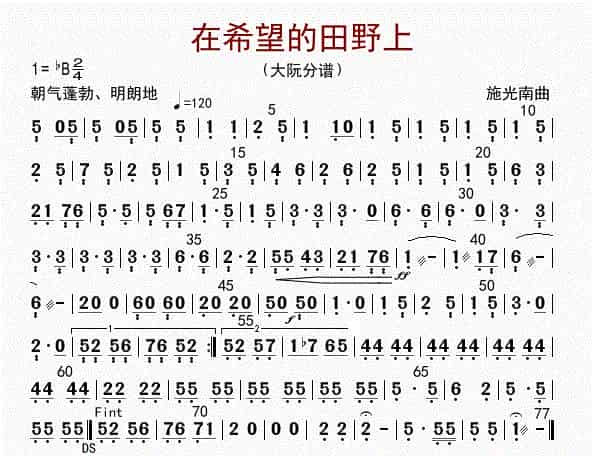 在希望的田野上（大阮分谱） 歌谱_第1张