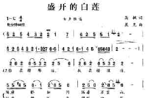 盛开的白莲 歌谱简谱