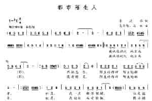 城市陌生人 通俗唱法曲谱