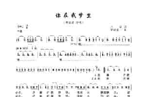 你在我梦里（庄奴词 野崎真一曲） 歌谱