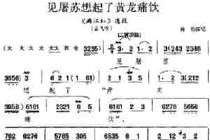 见屠苏想起了黄龙痛饮（《满江红》选段、岳飞唱段） 京剧唱谱