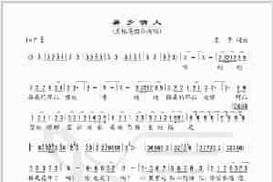 异乡情人（简谱版） 歌谱简谱