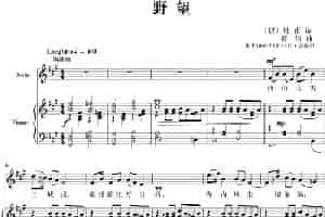 野望（艺术歌曲） 歌谱