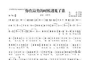 你在最美的时候遇见了谁 歌谱