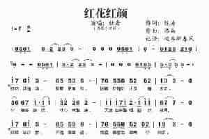 红花红颜 歌谱简谱