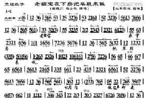 老薛宝在下房把草鞋来做（《三娘教子》选段、琴谱） 京剧唱谱