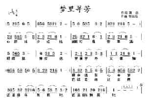 梦里寻芳 通俗唱法曲谱
