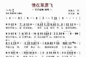情在草原飞 歌谱简谱