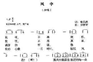 风中 通俗唱法曲谱
