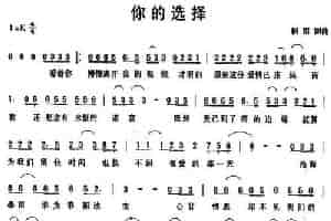 你的选择（桐雨词 桐雨曲） 通俗唱法曲谱