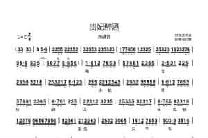 贵妃醉酒（京胡伴奏谱） 歌谱
