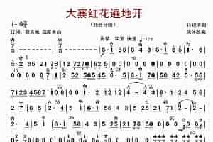 大寨红花遍地开（琵琶分谱） 歌谱